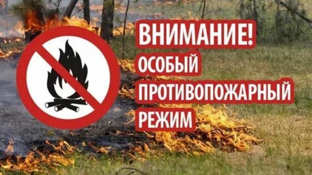 Особый режим